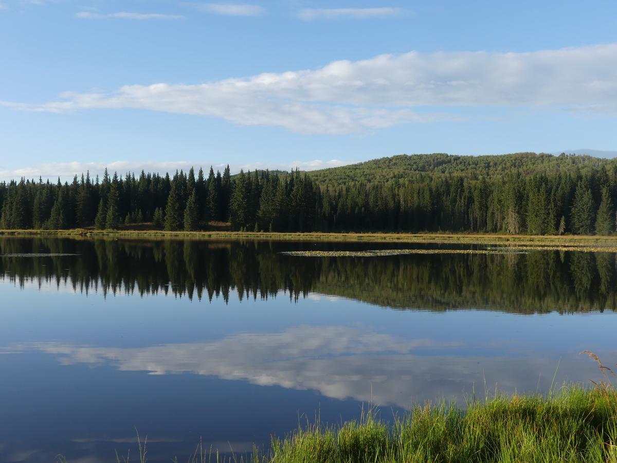 Schott'S Lake Conference & Resort Sundre Luaran gambar